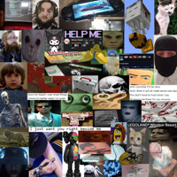 Nel2.png